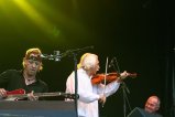040-Muzsikas-Wovenhand-Sziget-2009-041.jpg.small.jpeg